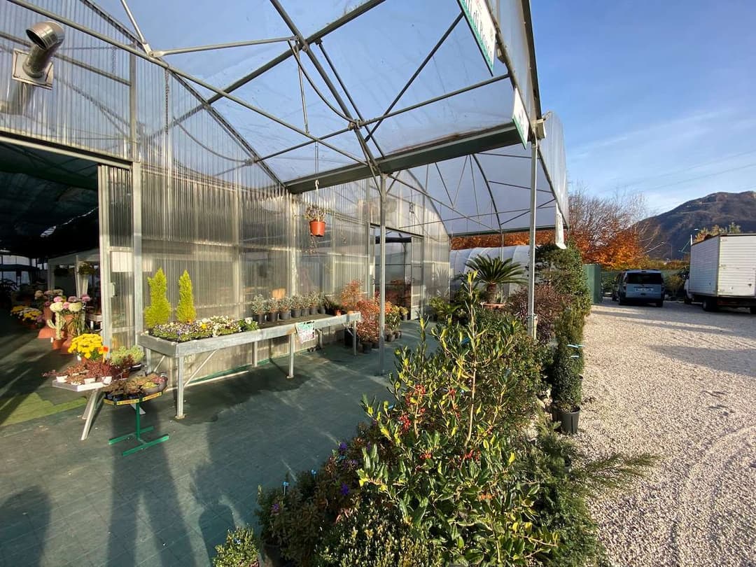 Azienda florovivaistica ben avviata gallery 3