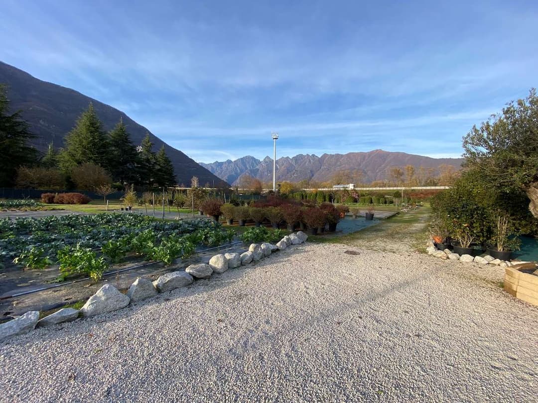 Azienda florovivaistica ben avviata gallery 8