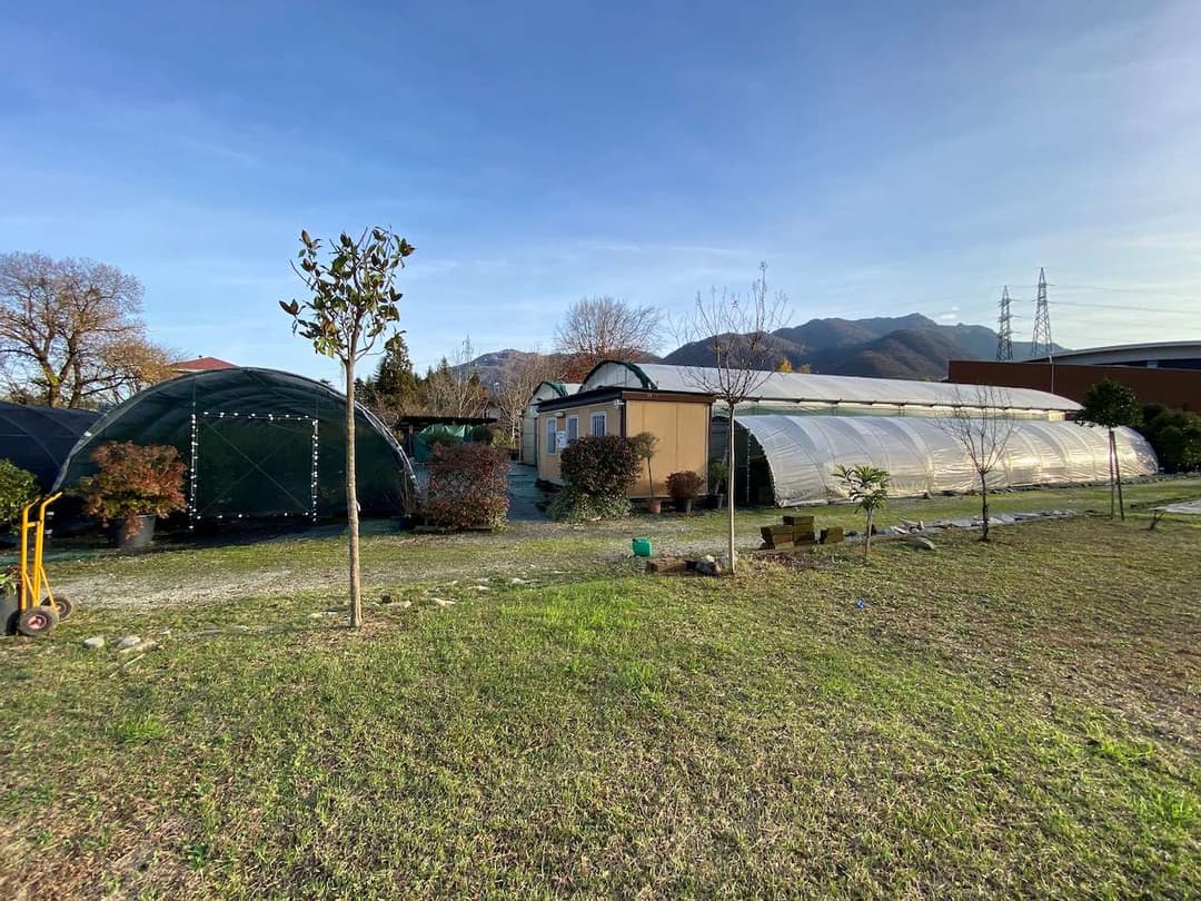 Azienda florovivaistica ben avviata gallery 13