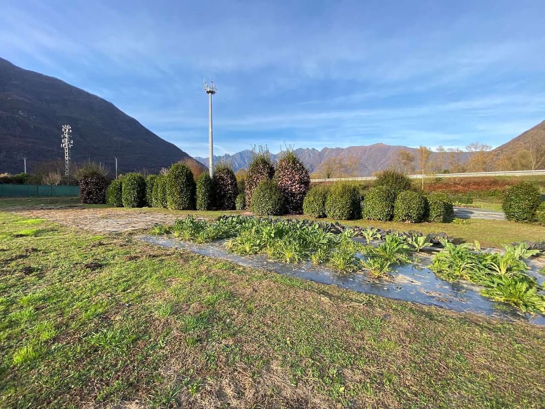 Azienda florovivaistica ben avviata gallery 14