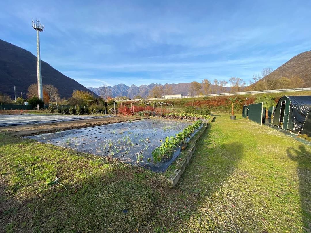 Azienda florovivaistica ben avviata gallery 15