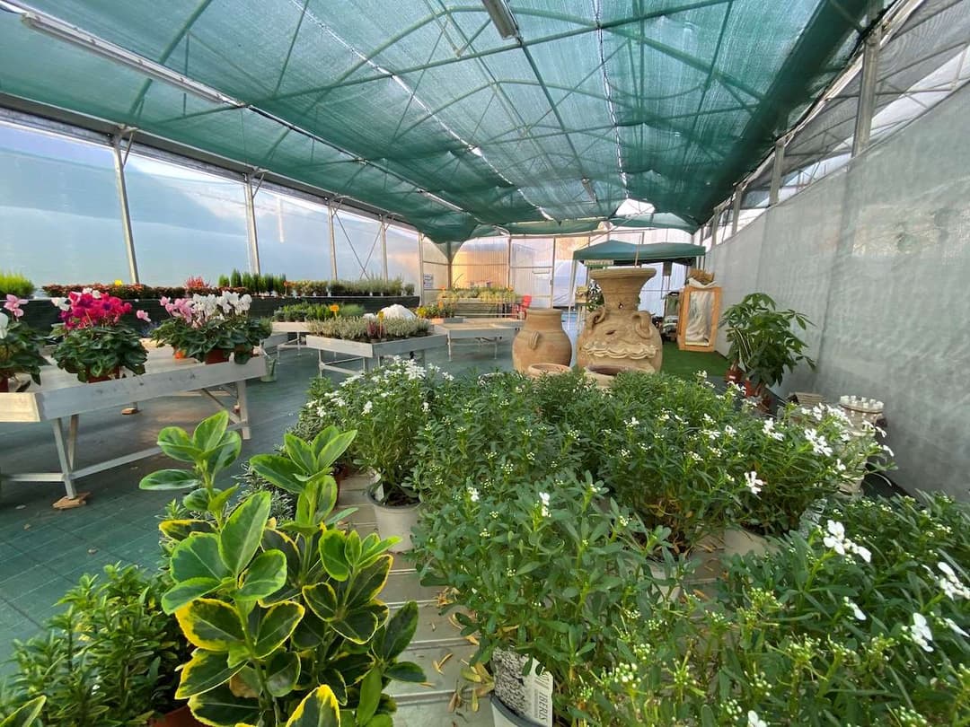 Azienda florovivaistica ben avviata gallery 29