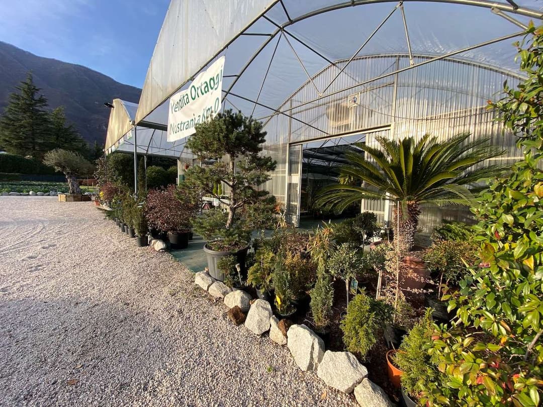 Azienda florovivaistica ben avviata gallery 46