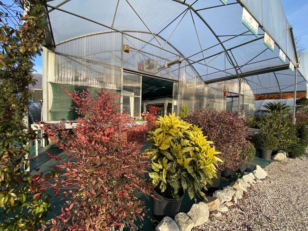 Azienda florovivaistica ben avviata gallery 48