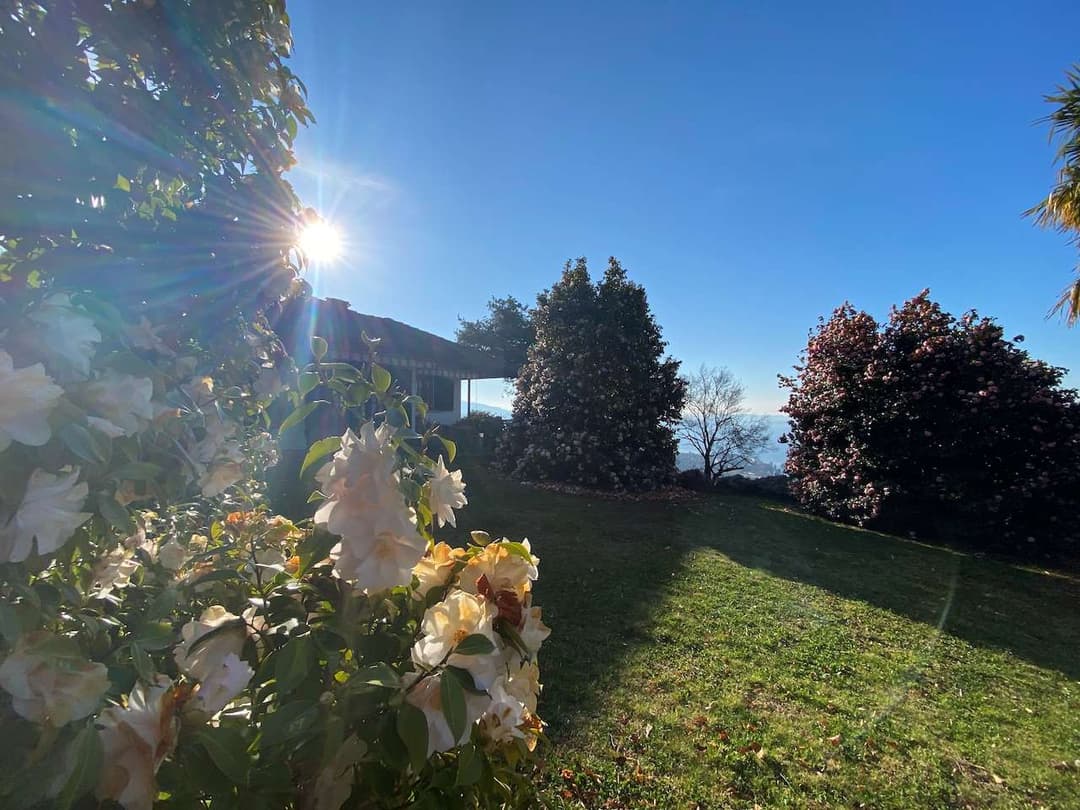 Villa con vista mozzafiato lago maggiore e isole gallery 13