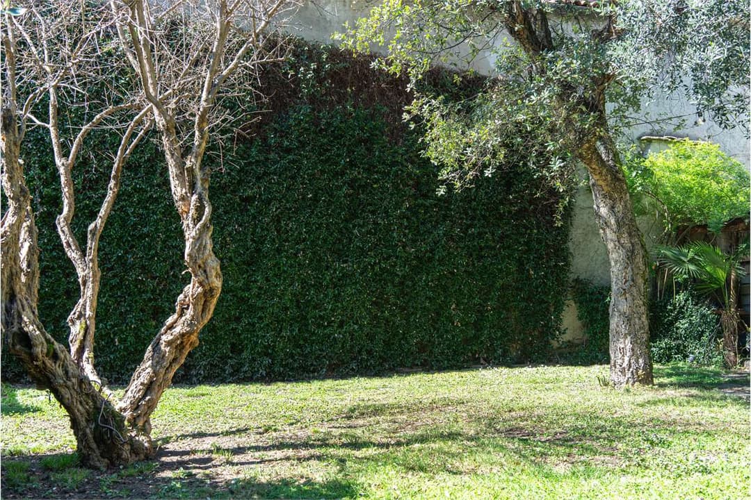 Secret garden nel cuore di VERBANIA pallanza a 50 mt da lago gallery 26